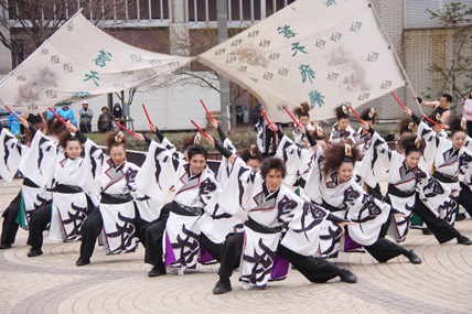 入選「颯爽たる龍姿」