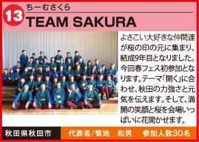 TEAM SAKURA