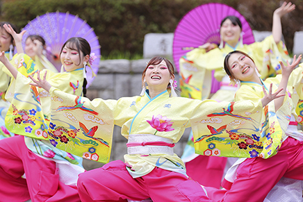 応募者：小川 友実