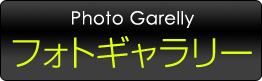 フォトギャラリー